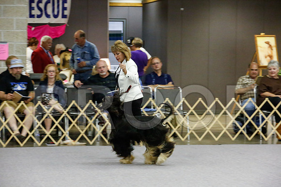 _JJ_8347-AfgBeltonOct2014-HR3