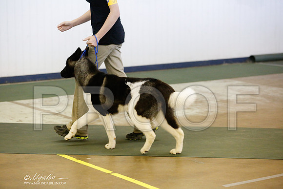 _RH_4229-DntnJun2014-HR3