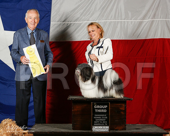 _ST_1876-2-AmarilloSep2014-HR3