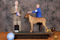 Andrea J Stone Marshall 2026
