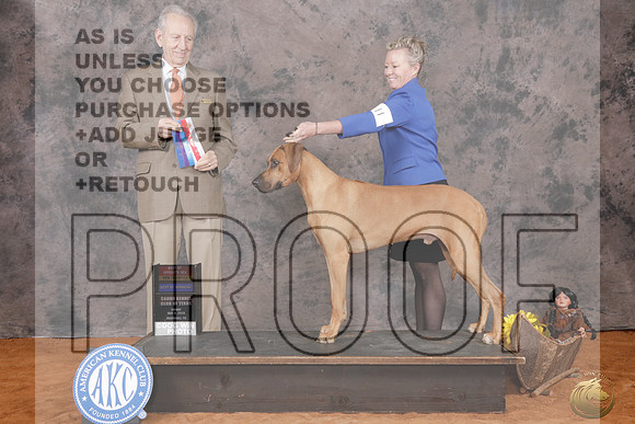 Rhodesian Ridgeback #11 Fri WD BW BOS NC Judge James Moses_P2_8400e_ Marshall 2026