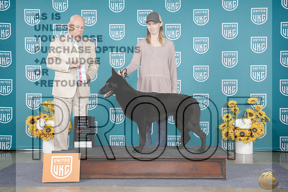 German Shepherd Dog #354 Sun BOW Judge Donald Bright_WP_4108e_ UKC Midwest Classic 2026