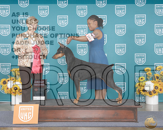 Doberman Pinscher #152 G2 Judge Karen Hynak_WP_3947e_ UKC Midwest Classic 2026