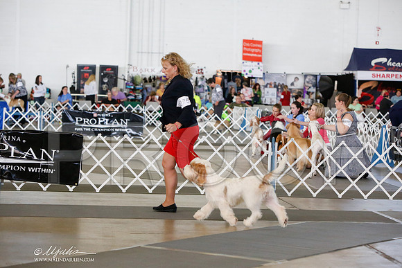 _JJ_7534-DallasJul2014-HR3