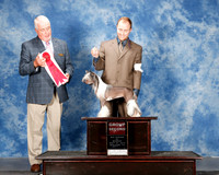 Chinese Crested #14 Mon G2 Fortino Elizabeth and Jessie Barringer Judge Steve Keating HR3