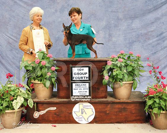 WPSun-2171LR