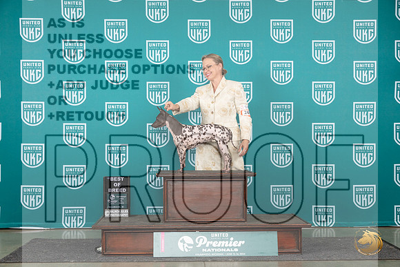 American Hairless Terrier #269 Sat BOB Judge Corianna Glenn__JP_2408_Premier_2024_HR3