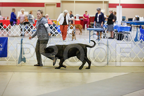 _JJ_6786-AmarilloSept2014-HR3