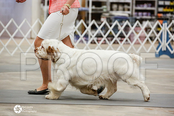 _JN_0473-AblnMay2014-web