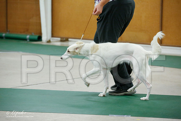 _JJ_4533-NrmnNov2014-HR3