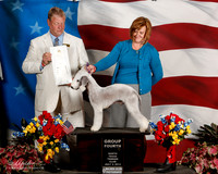 Bedlington Terrier #15 Thurs G3 Fogel Jacquelyn and Sheila Friedemann Agent Kellie L Miller Judge W Wornall
