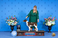 Brittany #28 SAT WB M Judge Ronald Freeman