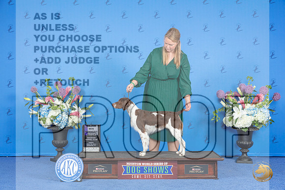 Brittany #28 SAT WB M Judge Ronald Freeman__JP_9987_Houston_2024_HR3