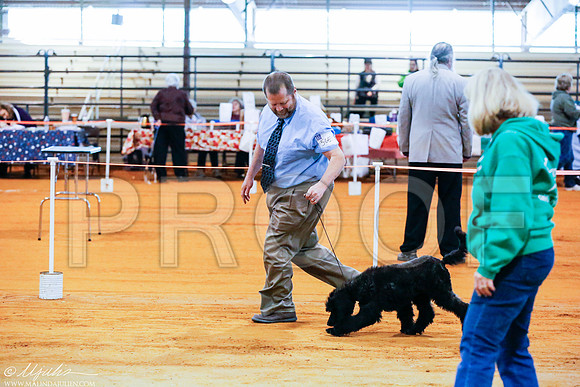 _RH_4659-MarshDec2014-HR