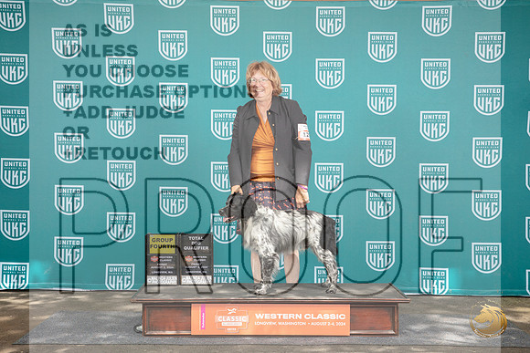 Epagneul Breton #129 Fri G4 Total Dog Judge Matthew Proctor__JP_1111_Longview WA_2024_HR3