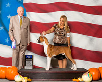 Boxers #17 Sun BOW Bramlett Margaret G Judge Mr Ralph J Ambrosio