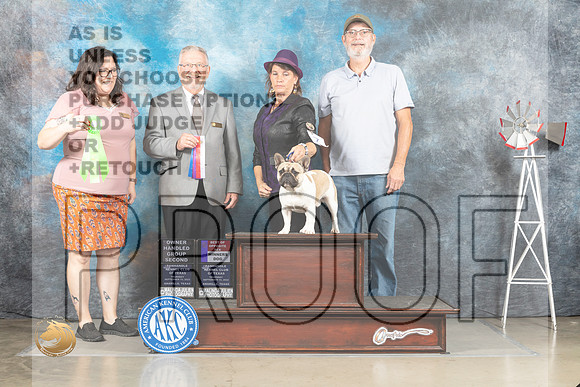 Boston Terrier #6 Thur BOBOHBOBOHG1 Judges Sherry Patton Alfred Ferruggiaro_MJ_3803_Amarillo_2022_HR3