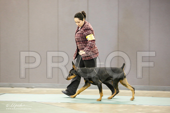 _JN_1866-BeltonJan2015-HR3