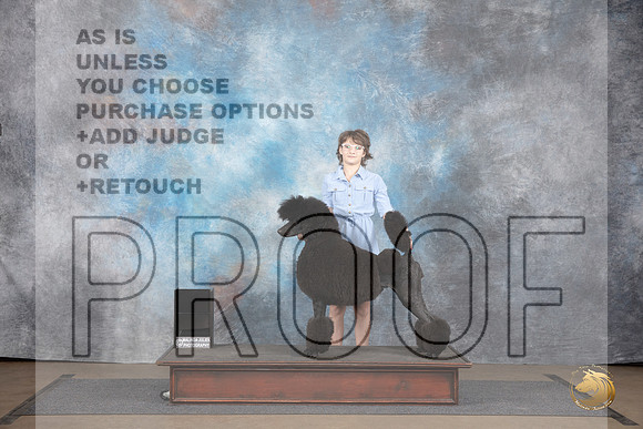 Poodle Standard #114 Sun Jr 1st Judge Matthew Proctor Chandra Martin __JP_2873_LongviewTX_2024_HR3
