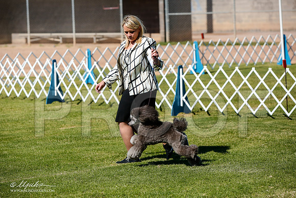 _JJ_4734-AlamogordoOct2014-HR3