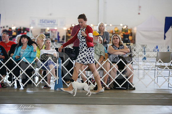 _JJ_3299-DallasJul2014-HR3