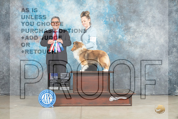 Shetland Sheepdog #44 Fri BOSBOWWBM Judge Elizardo Valadez-_MJ_0855e_Midland2023-HR3
