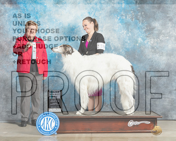 Borzoi #19 Sun SDM Judge Judith Brown-_MJ_2375e_Midland2023-HR3
