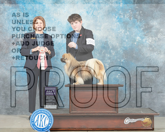 Tibetan Spaniel #J500 Fri RBJr Judge Donna O'Connell-_MJ_0811e_Midland2023-HR3