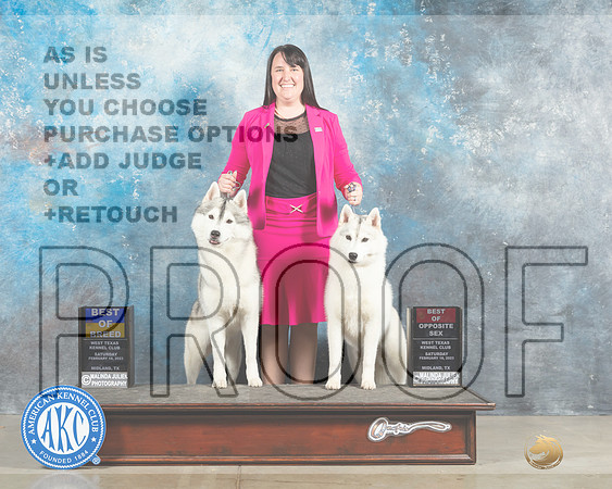 Siberian Husky #5 #6 BOB BOSWB Judge Elizabeth Muthard-_MJ_1578e_Midland2023-HR3