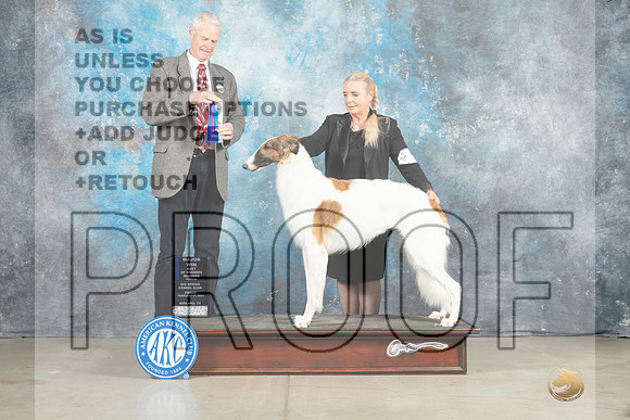 Borzoi #16 Fri BOWWBM Judge Jon Cole-_MJ_0875e_Midland2023-HR3