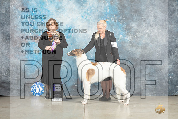 Borzoi #? Thurs WD Judge Elizabeth Muthard -_MJ_0313ee_Midland2023-HR3