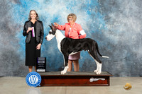 Dina F Whitehouse Midland 2023