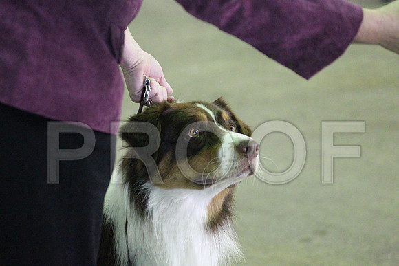 MJS_0340