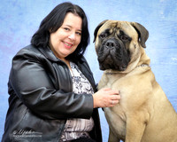 Bullmastiff Donna Atwood Custom Sat LR Fort Worth Mar 2013