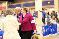 Bullmastiff Fri Specialty Best Bred By Exhibitor Ring LR Fort Worth Mar 2013