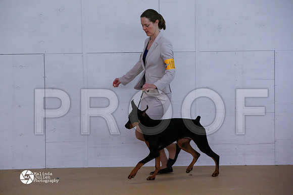 Dobe-6078-HtoJan14-HR