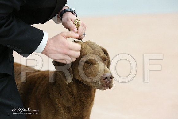 Chessi-0457-LR