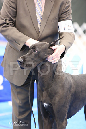 Dane-4685-LR