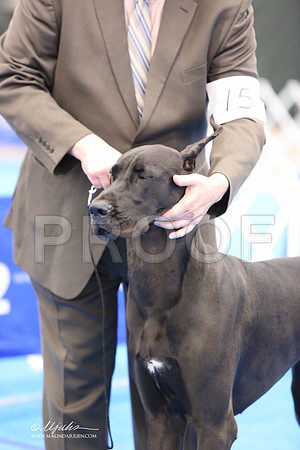 Dane-4684-LR