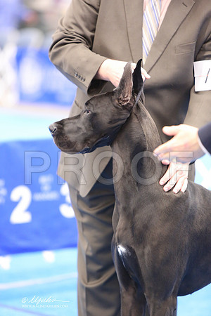 Dane-4687-LR