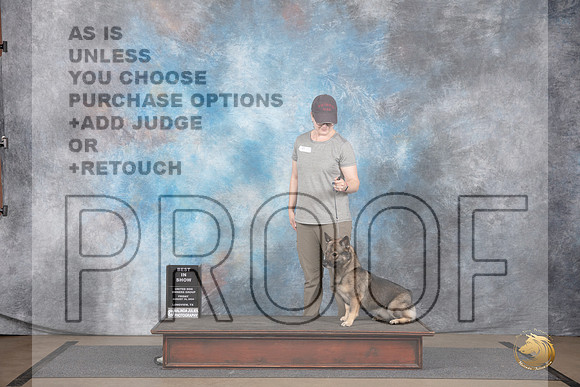 Swedish Vallhund #623 Fri BIS No Judge__JP_2407_LongviewTX_2024_HR3