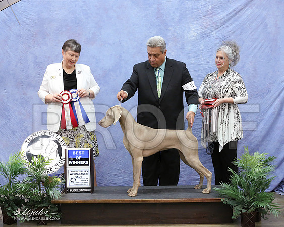 Weim-9970-LR
