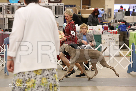 Weim-6056-LR