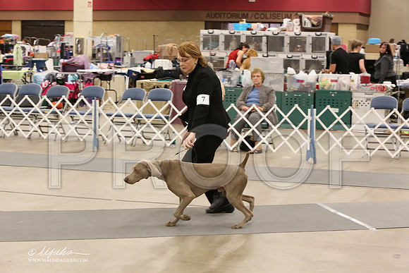 Weim-6102-LR