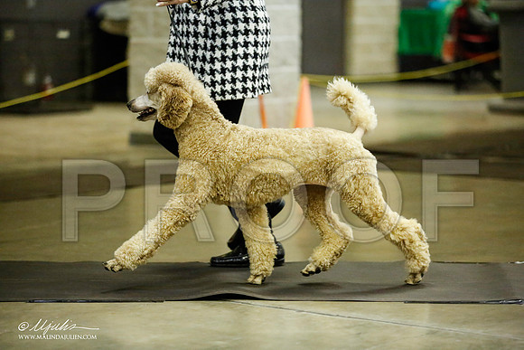 _JJ_5634-BeltonJan2015IABCA-HR3