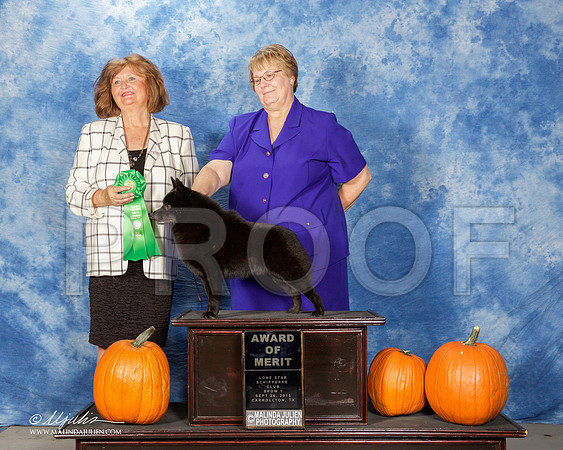 _ST_0783-CarltnSchipSept2015-HR3