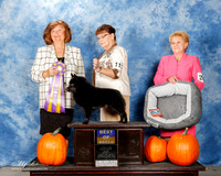 #113 Sat BOB Dara Wilcox Judge Janice McClary