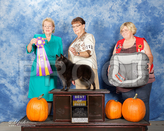 _ST_0801-CarltnSchipSept2015-HR3
