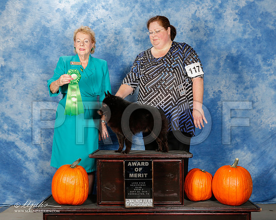 _ST_0820-2-CarltnSchipSept2015-HR3