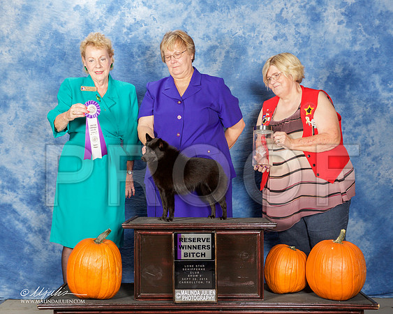_ST_0832-CarltnSchipSept2015-HR3
